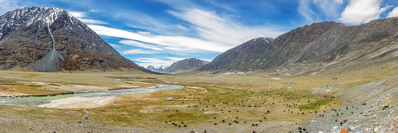 Western Mongolia Panorama