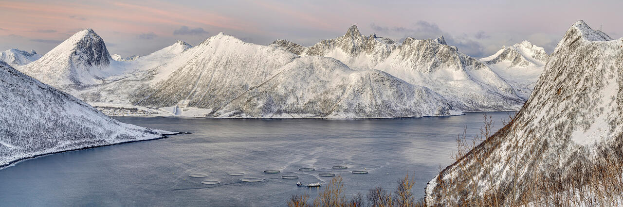 Salmon Farms in Senja