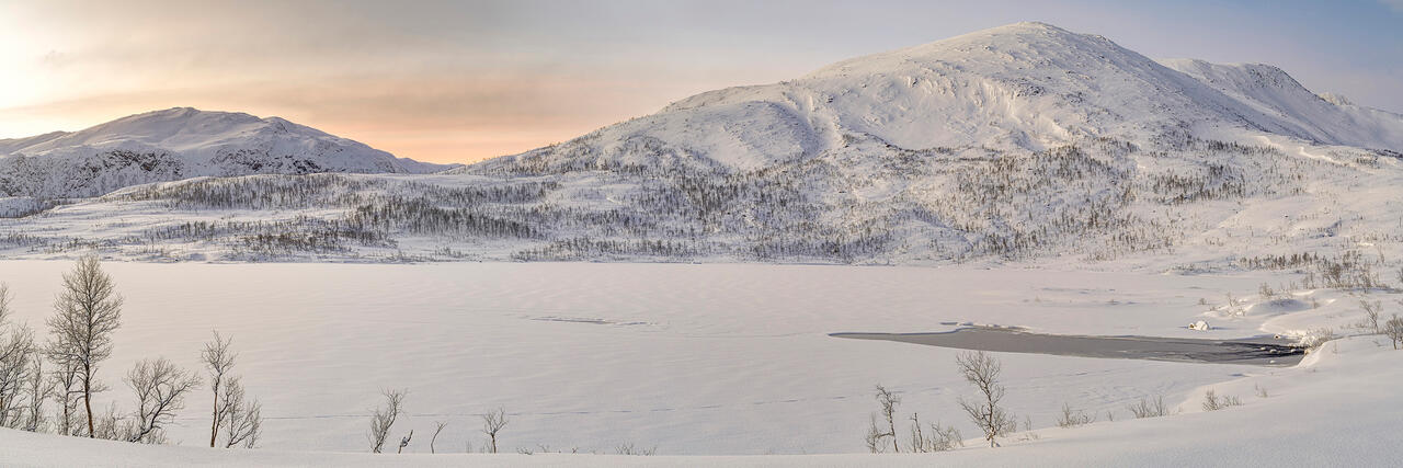 Winter Tranquility