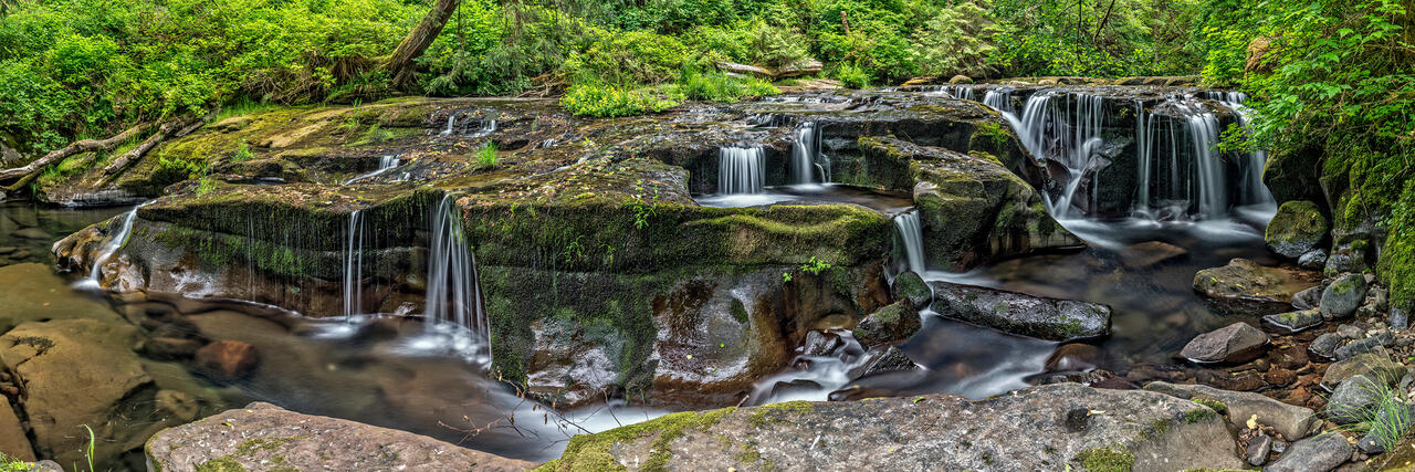 Sweet Creek Panorama