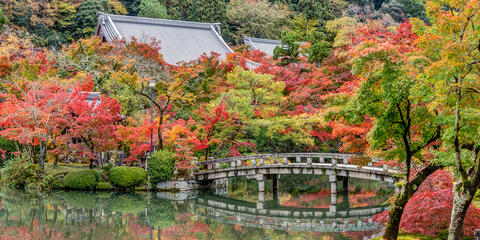 Fall