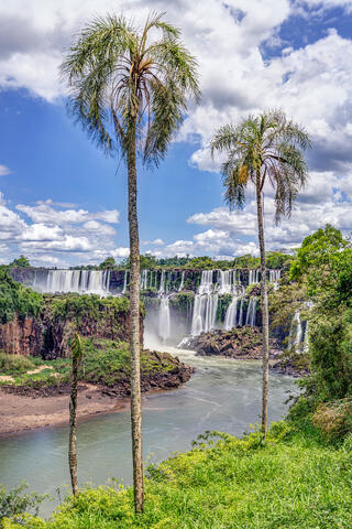Iguazu Portrait