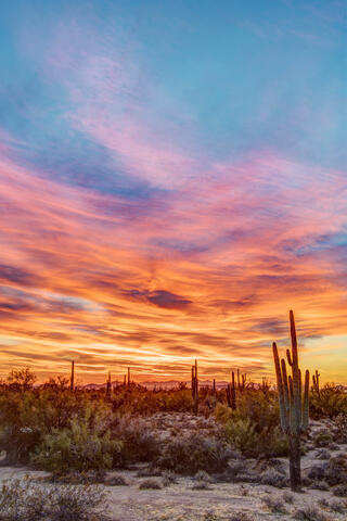 Scottsdale Sunset