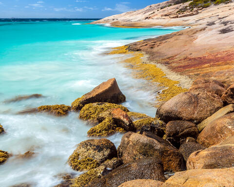 Oceania