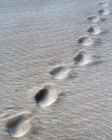 Footprints in the Sand