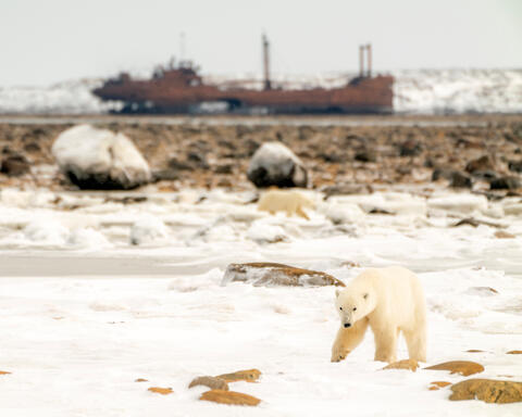 Churchill, Manitoba – With Ruins of the Ithaka