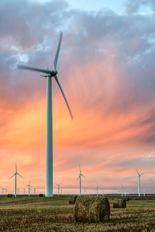 Colorado Turbines at Sunset (Portrait)