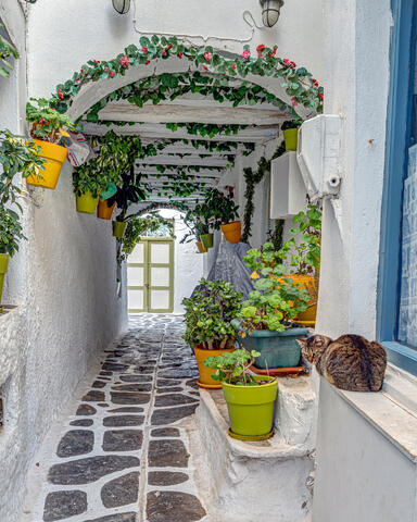 Narrow Passage in Naxos