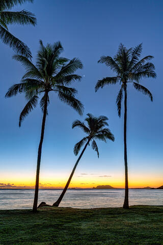 Sunrise at Kualoa