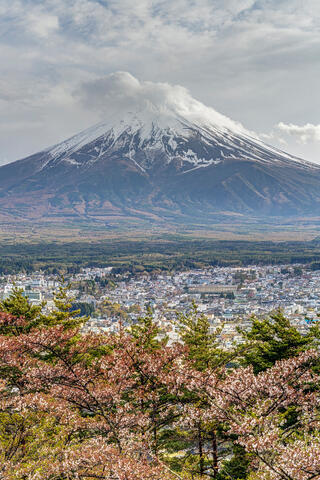 Fuji Portrait