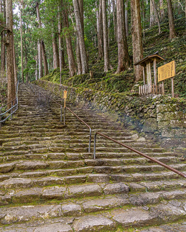 Ghosts on the Stairs