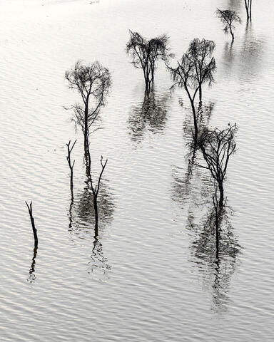 Lake Nakuru
