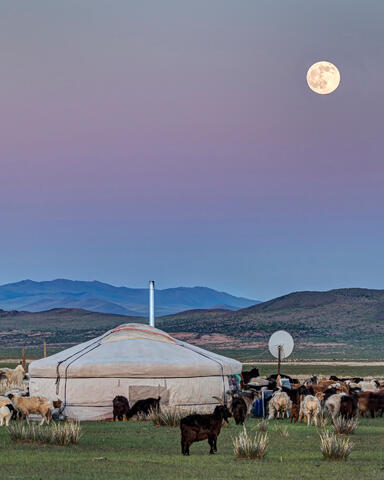 Nomad Moon