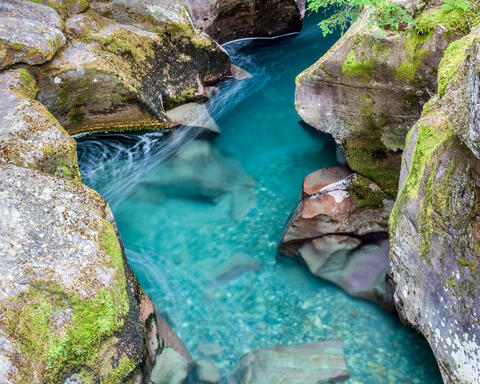 Avalanche Creek