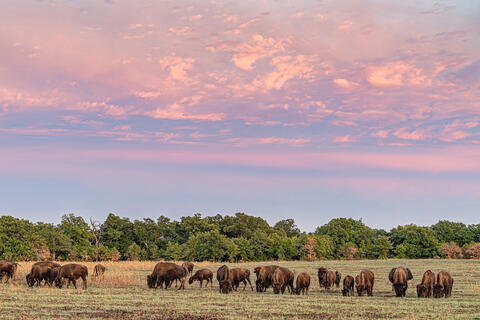 Oklahoma