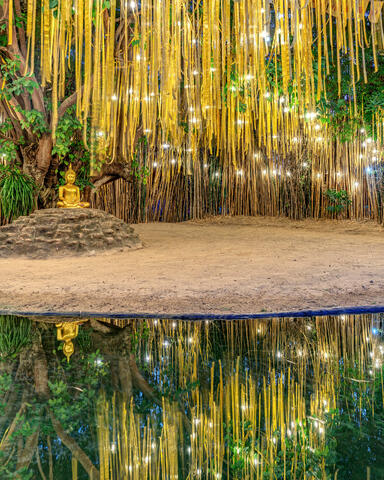 Buddha's Reflection