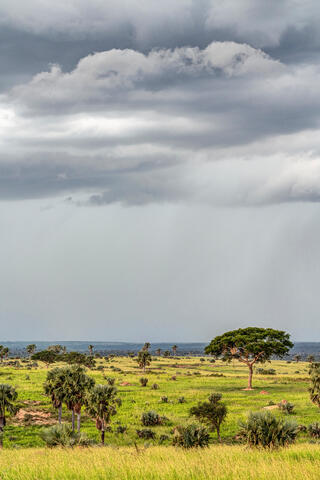 Murchison Falls Landscape