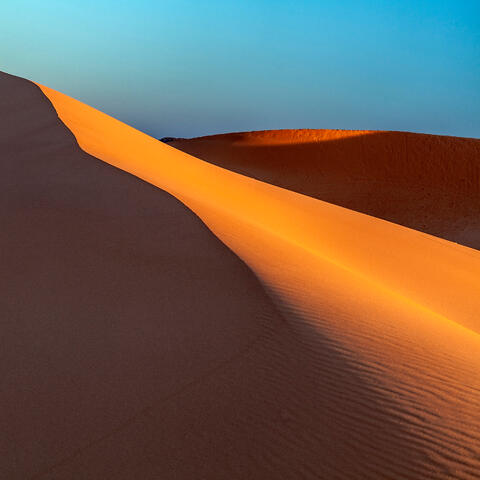 Coral Pink Sand Dunes at Sunset
