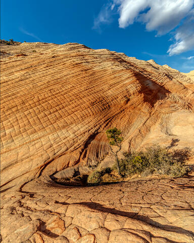 Utah Checkerboard