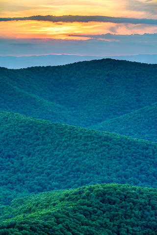 Shenandoah Portrait
