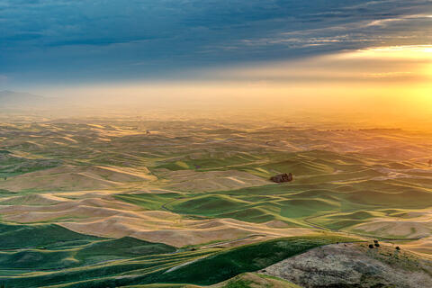 Prairies, Plains, and Grasslands