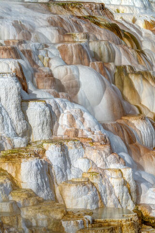 Canary Hot Spring Portrait