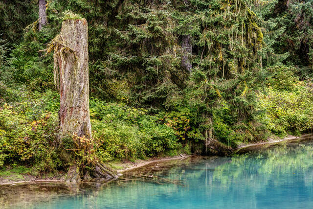 Fish Creek