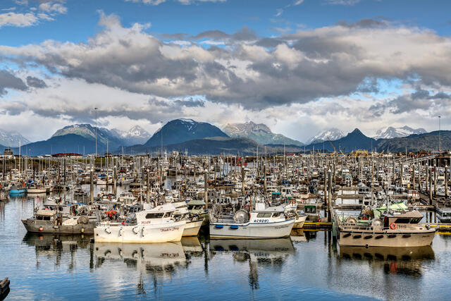 Fishing Boats in Homer