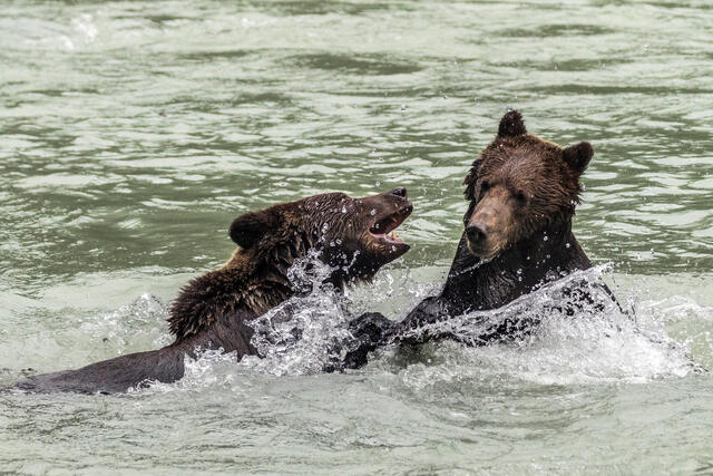 Get Off Me, Bro!