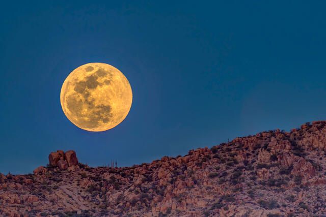 Full Moon in Scottsdale