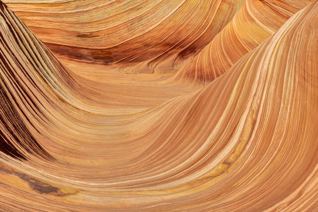 Inside the Wave
