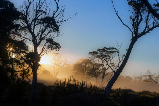 Morning Fog at Lake Windermere