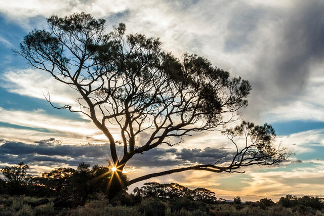 South Australia Sunset