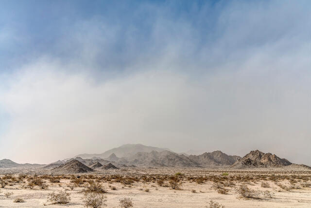 Sandstorm