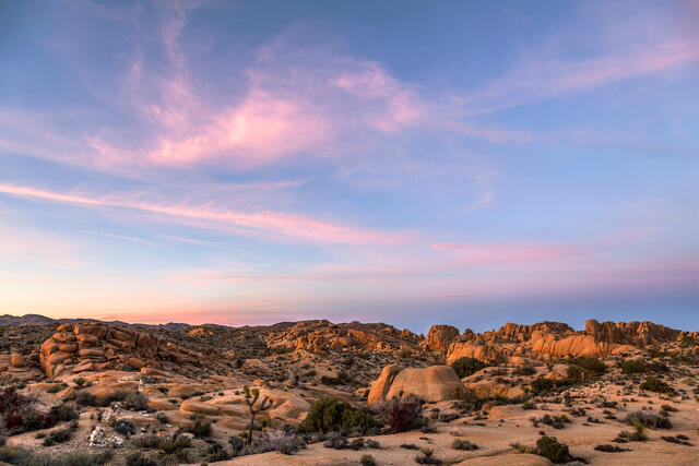 Sunset at Joshua Tree National Park