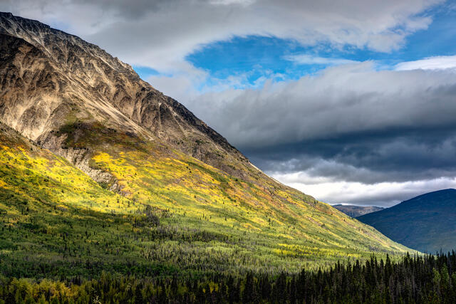 Autumn in the Yukon