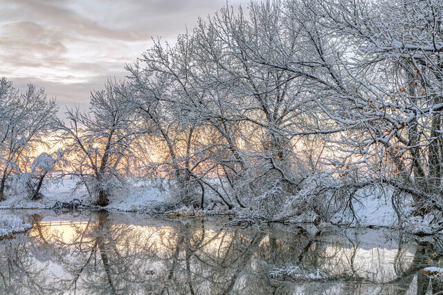 After the Storm