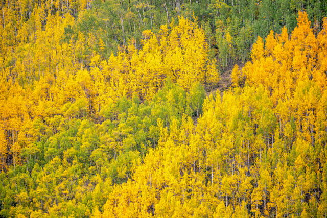 Autumn's Arrival