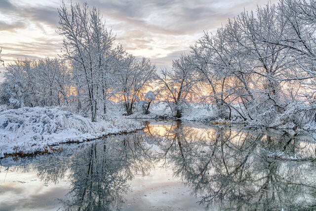 Winter Reflection