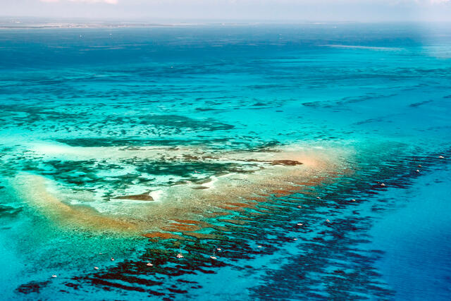 Looe Key Reef