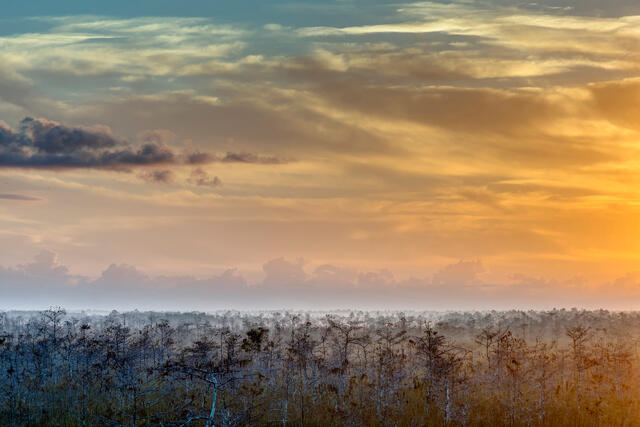 Sunrise in the Everglades 3