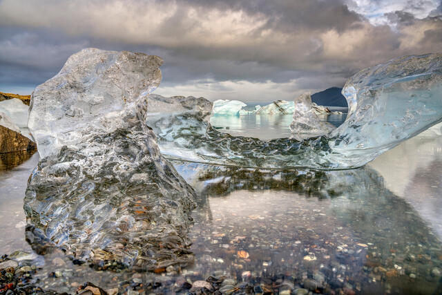 Washed Ashore