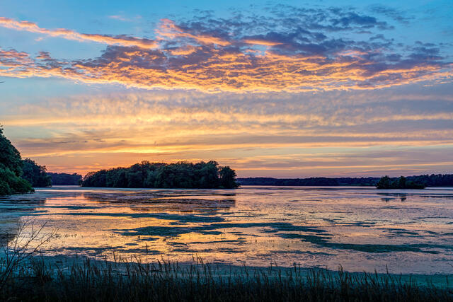 Rice Lake Sunset