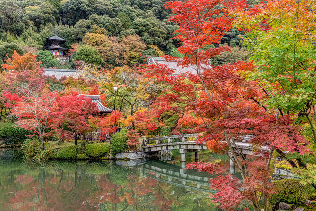 Eikan-do in Autumn