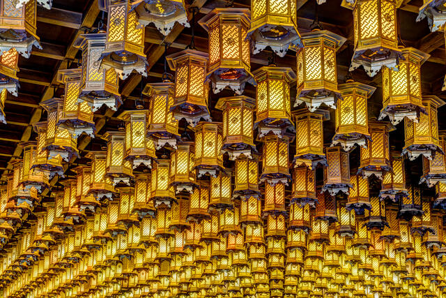 Japanese Lanterns 1
