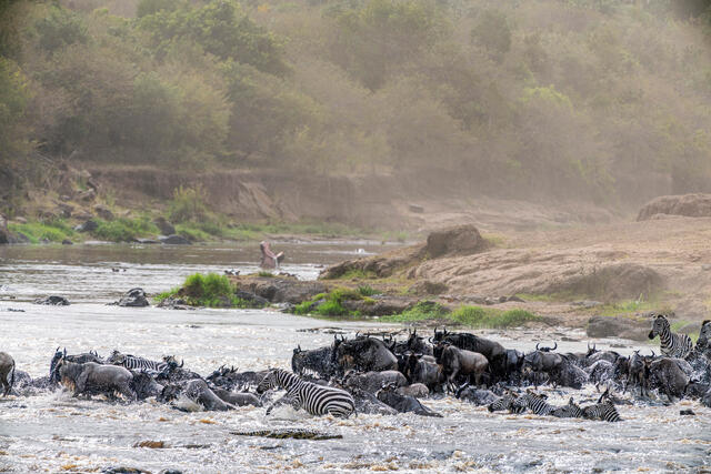 Migration 1