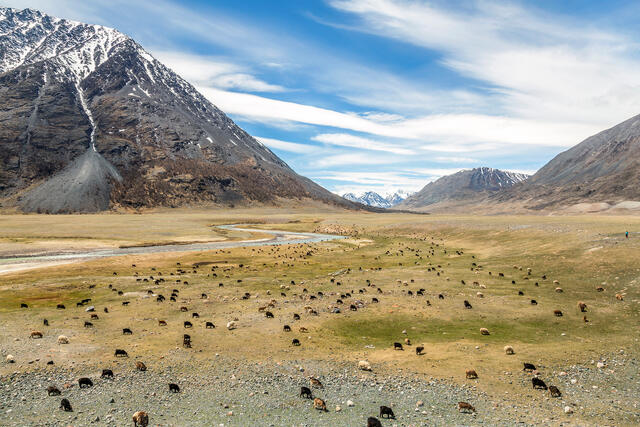 MonGOATia