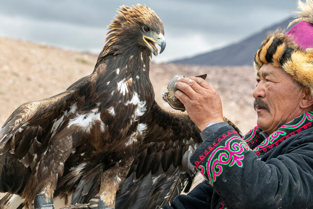 The Eagle Master 3