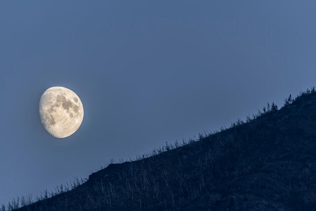 Moonlit Mountainside