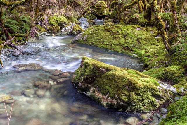 Upper Caples River